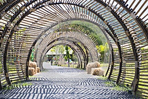 Bamboo tunnel structure in garden
