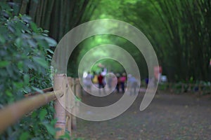 Bamboo tunnel,use for background.Bamboo tunnel corridor. Many tourists inside. Background. Brown bamboo fence
