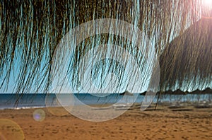 Bamboo umbrella, beach, exotic,