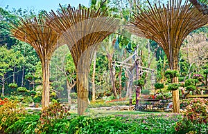 Bamboo umbrellas, Mae Fah Luang garden, Doi Tung, Thailand