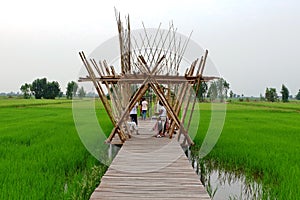 Bamboo, used to construct buildings.