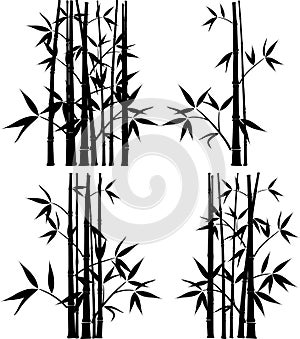 Bamboo, vector photo