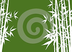 Bamboo, vector