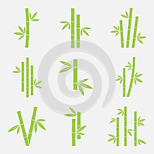 Bambus vektor ikona 
