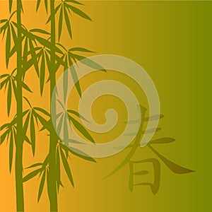 Bamboo vector illustration