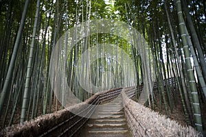 Bamboo walk Adashino Nembutsu-ji Temple