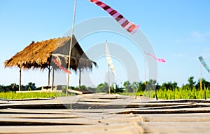 Bamboo walk way go to hut in the rice fields