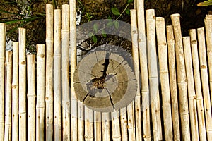 Bamboo walkway background