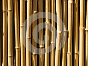 Bambus stěna 