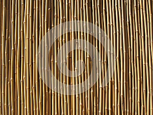 Bambù parete 