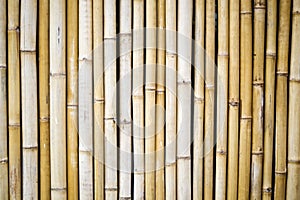 Bamboo Wall