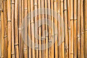 Bamboo wall.