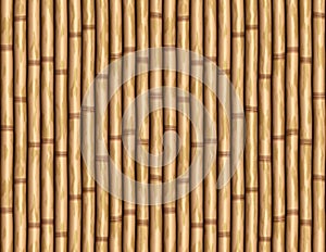 Bamboo wall photo