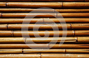 Bamboo wall background