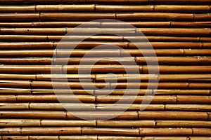 Bamboo wall background