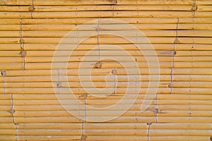 Bamboo Wall Background Texture