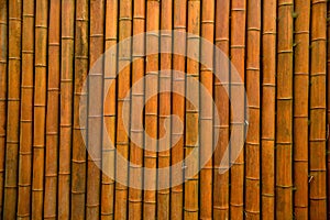 Bamboo wall/bamboo house