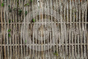 Bamboo wall, bamboo at Kanchanaburi thailand photo