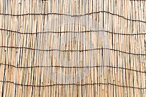 Bamboo wall with brown rope