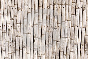 Bamboo Wall - Ecological Man Made Structure