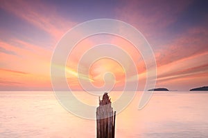 Bamboo wall in the sea and beautiful sunrise at Saphan Hin,