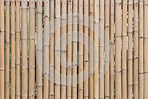 Bamboo wall texture