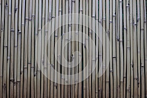 Bamboo wall texture