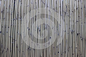 Bamboo wall texture