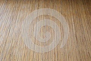 Bamboo wall texture background