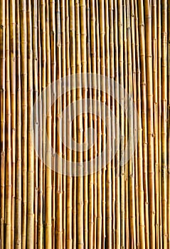 Bamboo wall texture background