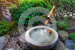 Bamboo Water Fountain in Japanese Garden