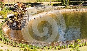 Bamboo water wheel