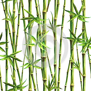 Bamboo watercolor stems and leaves seamless pattern on white background