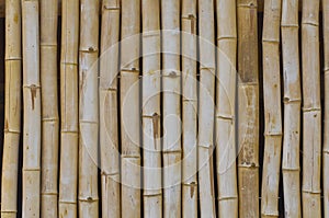 Bamboo wood background