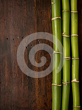 Bamboo on wood background