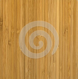 Bamboo wood background texture