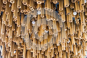 Bamboo wood plant on ceiling background texture.