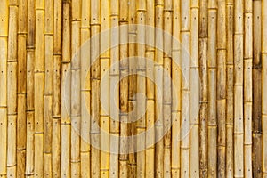 Bamboo wooden texture pattern background