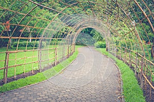 Bamboo wooden tunnel walkway or footpath in public park.