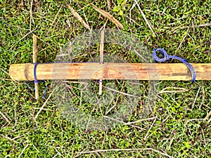 bamboo yoke jungle harvest rice nature texture