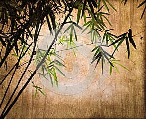 Bamboos on vintage sepia background photo