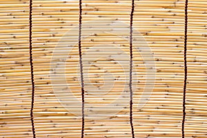 Bambu blind photo