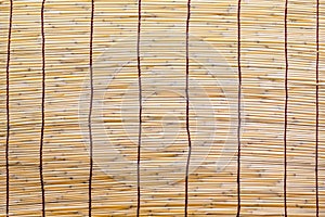 Bambu blind photo