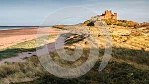 Bamburgh Beach Golden Landscape Northumberland