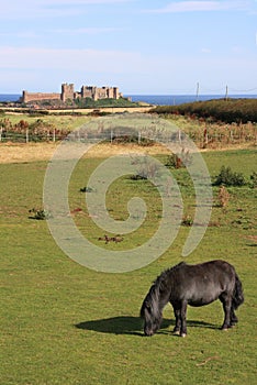 Bamburgh Castle