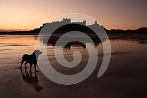 Bamburgh castle