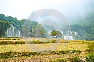 Ban Gioc Waterfall or Detian Falls, Vietnam`s best-known waterfall