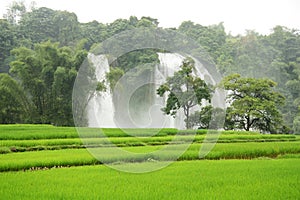 Ban Gioc Waterfall and rice fields in Vietnam