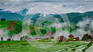 Ban Papongpieng Rice Terraces, Chiang Mai,