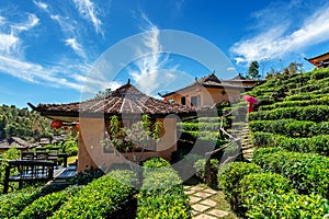 Ban rak thai in Mae hong son,Thailand